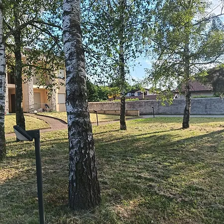 Apartment Brughiera *
